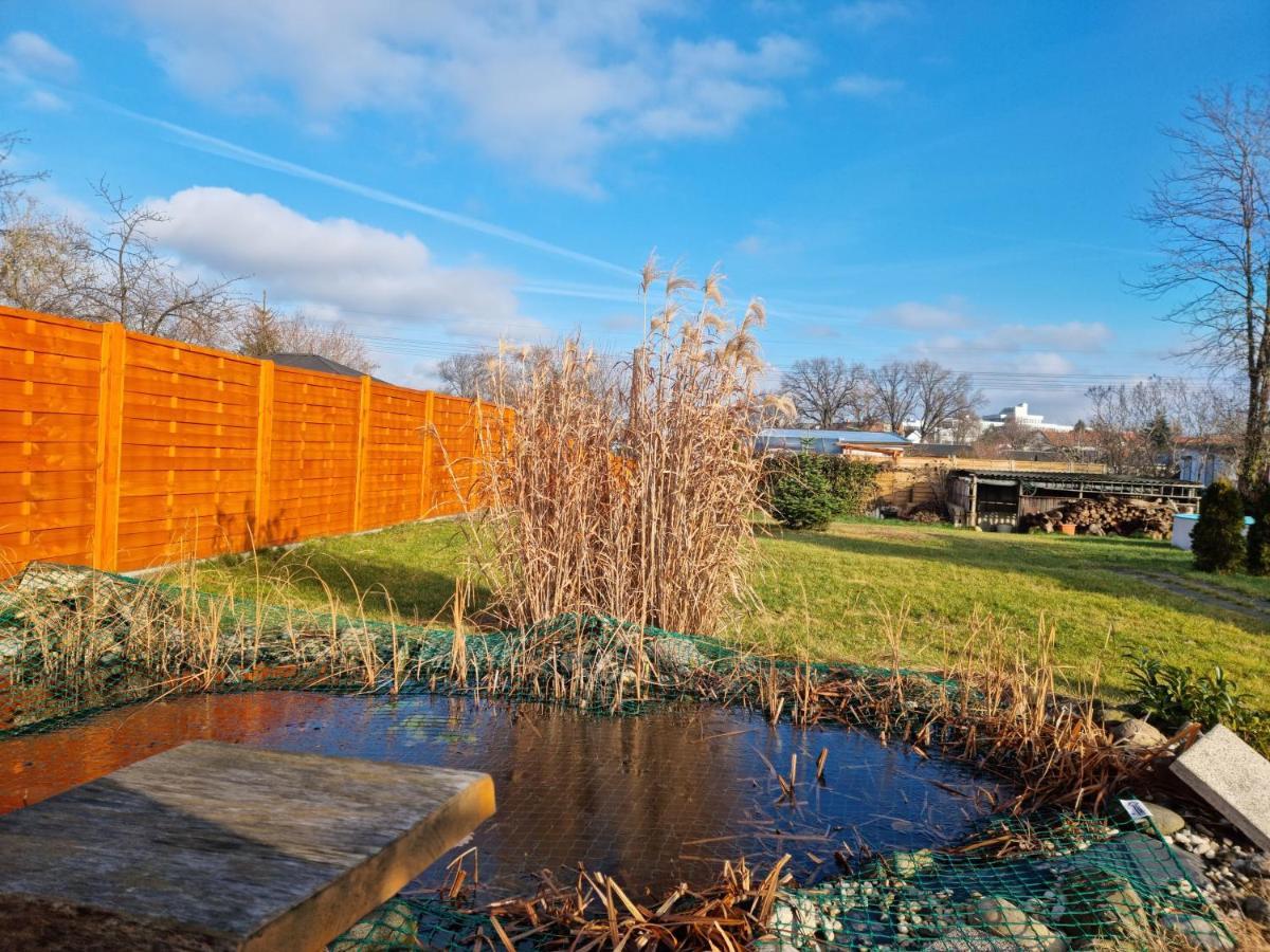 Liebevoll Eingerichtetes Haus Mit Grossem Garten In Dresden - Telefonnummer Und Video Unter Www Fhvn De Buitenkant foto
